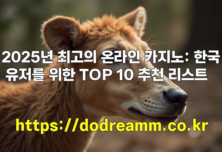 2025년 최고의 온라인 카지노: 한국 유저를 위한 TOP 10 추천 리스트