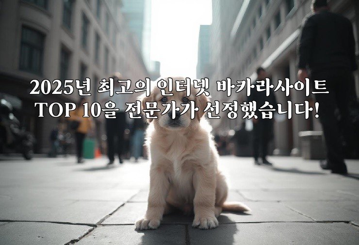 2025년 최고의 인터넷 바카라사이트 TOP 10을 전문가가 선정했습니다!